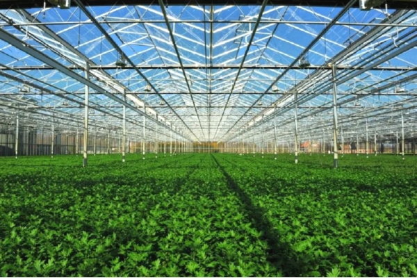 Մոդուլային Ջերմոցներ Հայաստանում. Արագ, Հուսալի, Շահավետ/Arpycity